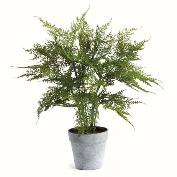 Artificial Fern Drop In 21"