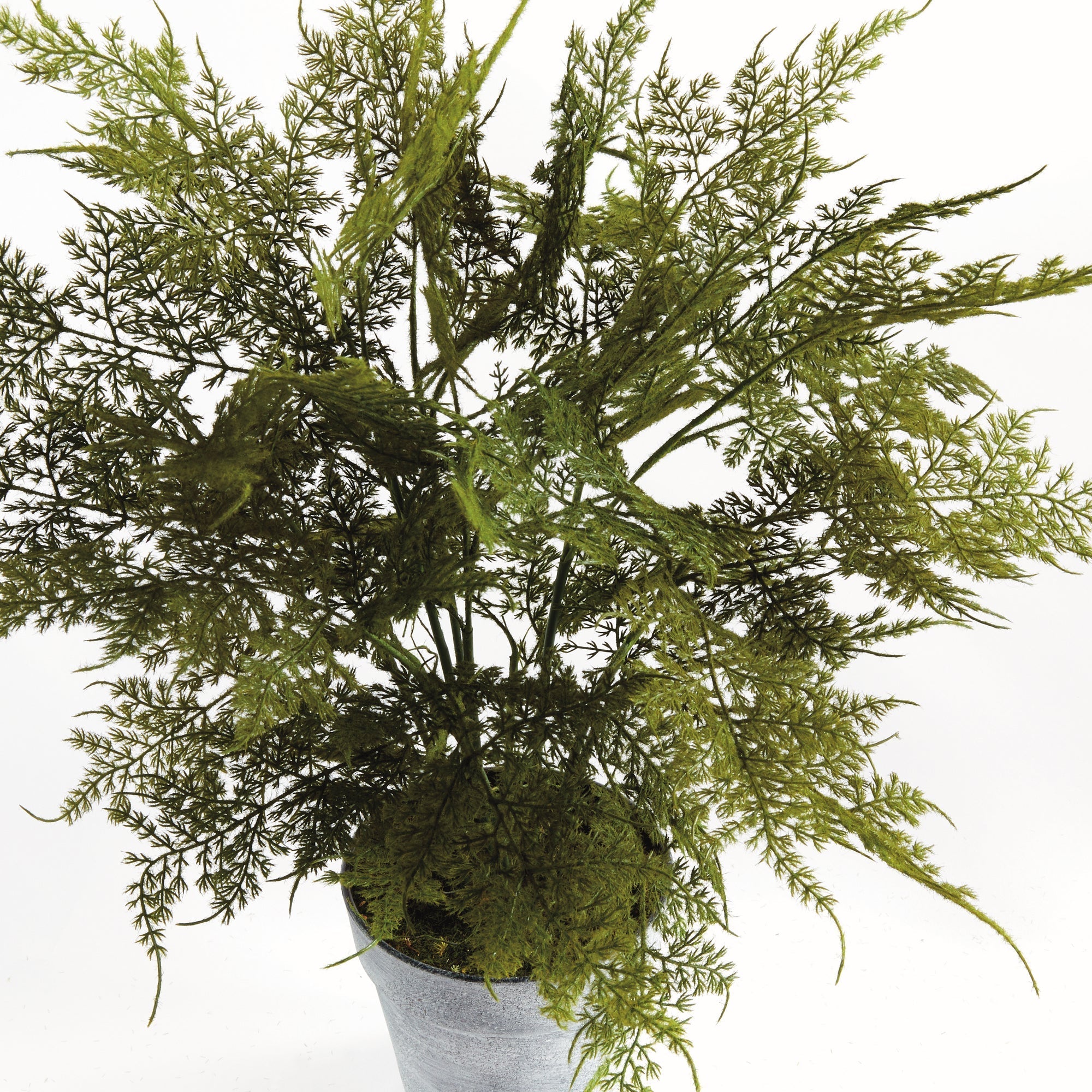 Artificial Fern Drop In 21"
