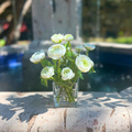 Silk Ranunculus Flowers in Glass Vase - 8"